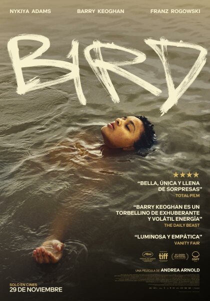 Bird BDrip XviD Castellano
