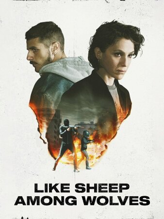 Like Sheep Among Wolves BDrip XviD Castellano