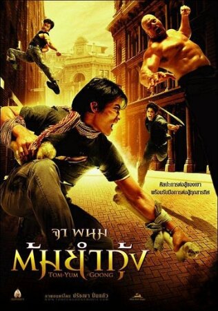 Thai Dragon (2005 accion Prachya Pinkaew) DVDrip XviD Castellano