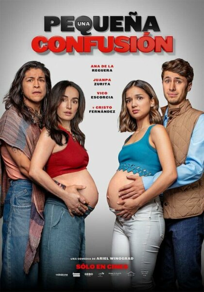 Una pequeña confusión BDrip XviD Castellano
