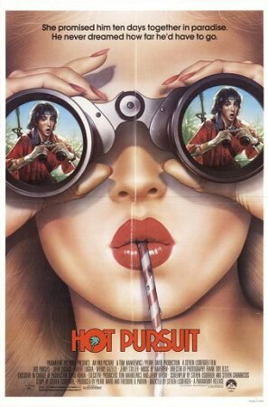 Persecucion muy muy caliente (1987 comedia) DVDrip