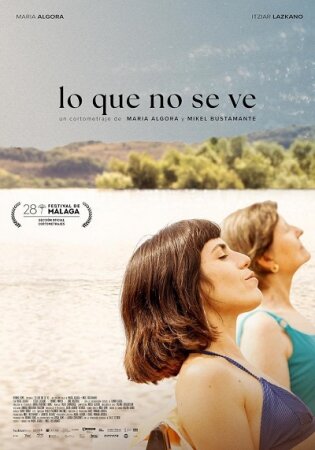 Lo que no se ve BDrip XviD Castellano