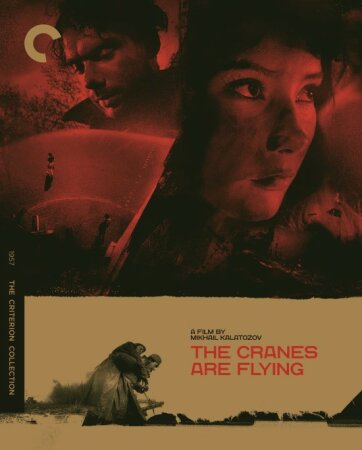 Cuando pasan las cigüeñas (1957 Drama romántico Bélico) DVDrip