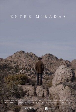 Entre miradas BDrip MP4 Castellano