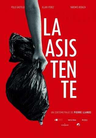 La asistente BDrip XviD Castellano