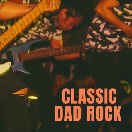 VA - Classic Dad Rock (2025) Mp3
