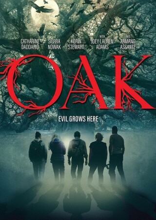 Oak BDrip XviD Castellano