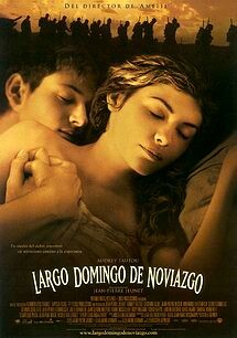 Largo Domingo de Noviazgo (2004) DVDrip XviD Castellano