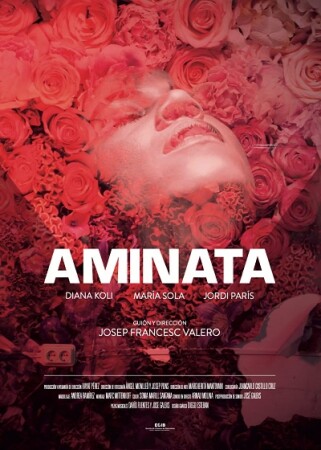 Aminata BDrip XviD Castellano