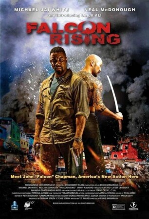Falcon Rising (2014) BDrip XviD Castellano