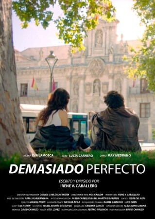 Demasiado perfecto BDrip MP4 Castellano