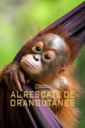 Al rescate de orangutanes BDrip XviD Castellano