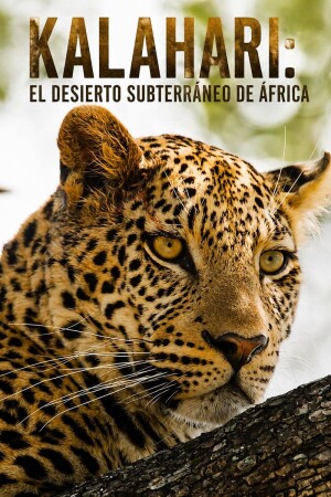 Kalahari: el desierto subterráneo de África BDrip XviD Castellano