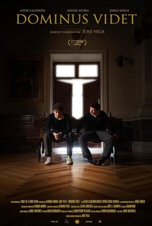 Dominus Videt BDrip MP4 Castellano