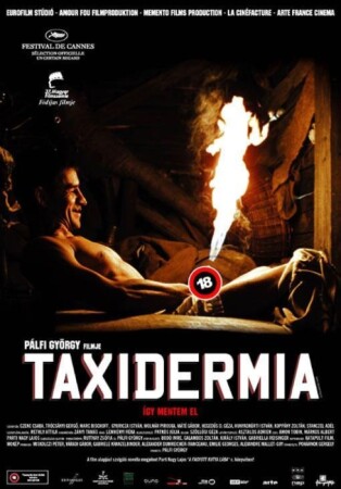 Taxidermia [2006 Terror] BDrip XviD Castellano