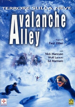 Avalancha (2001) DVDrip XviD Castellano