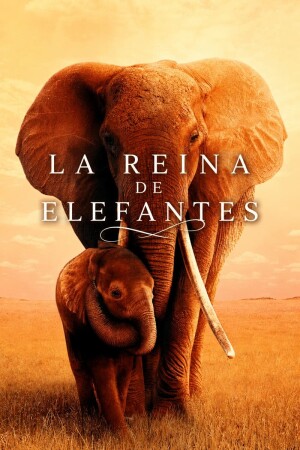 La Reina de elefantes BDrip XviD Castellano