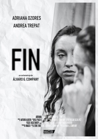 Fin BDrip XviD Castellano