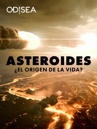 Asteroides: ¿el origen de la vida? BDrip XviD Castellano