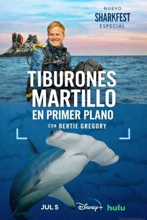 Tiburones martillo en primer plano con Bertie Gregory BDrip XviD Castellano