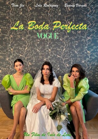 La boda perfecta BDrip Mp4 Castellano