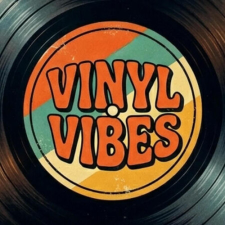 VA - Vinyl Vibes (2026) Mp3