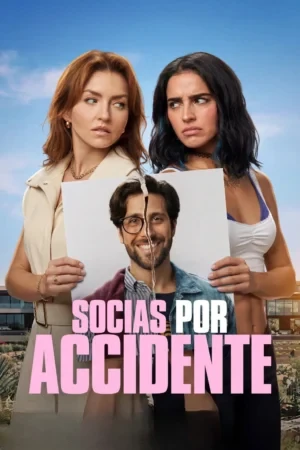 Socias por accidente BDrip XviD Latino