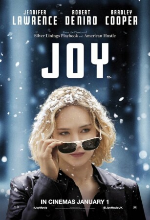 Joy (2015) HDrip XviD Castellano