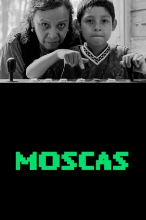 Moscas BDrip XviD Latino