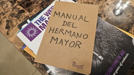 El Manual del Hermano Mayor BDrip XviD Latino
