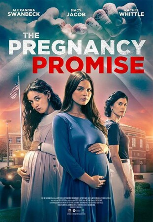 Promesa de embarazo BDrip XviD Castellano