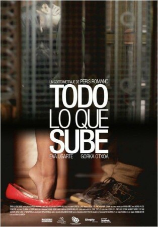 Todo lo que sube BDrip Mp4 Castellano